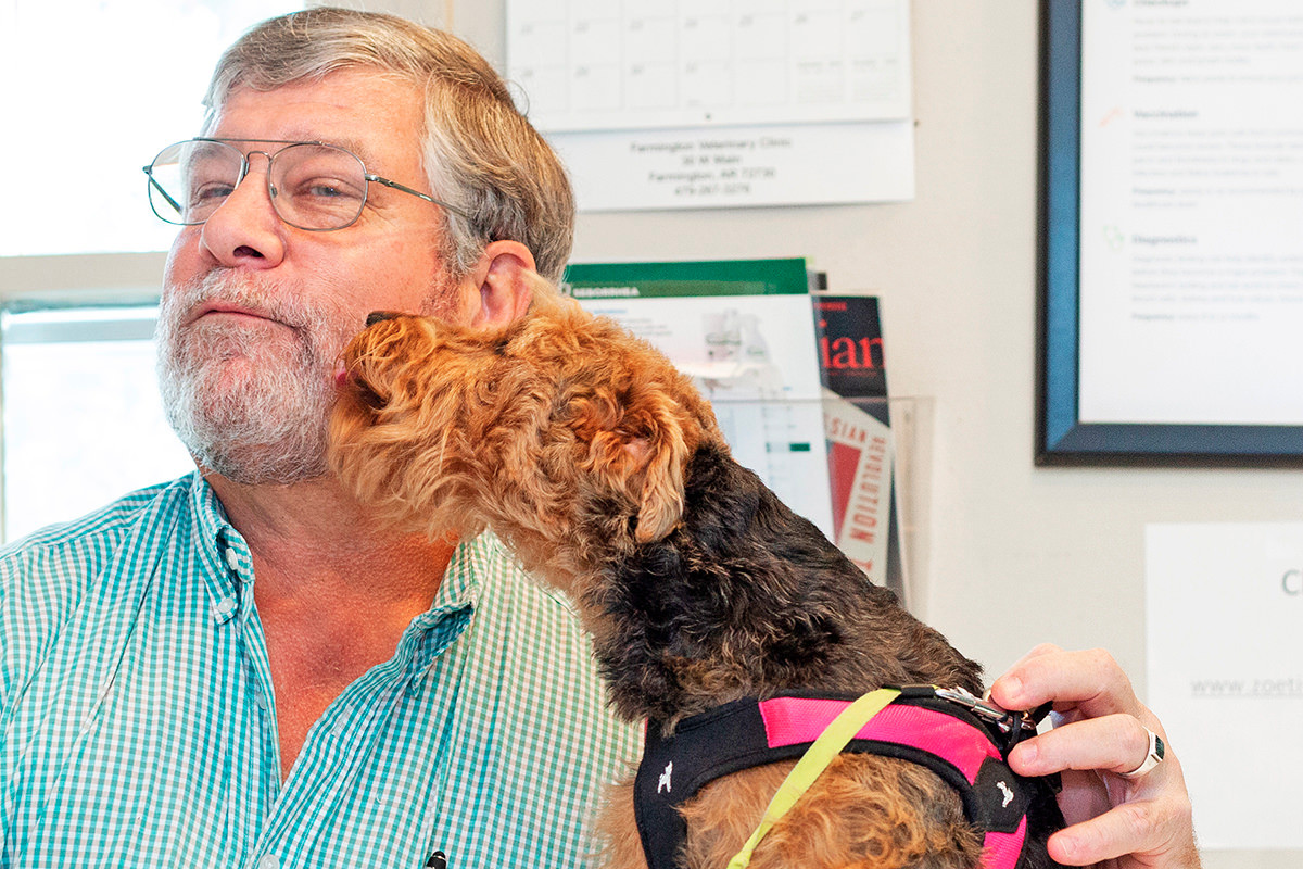 NWA Veterinarians Find Freedom Hitched to Corporate Chains | Arkansas  Business News | ArkansasBusiness.com