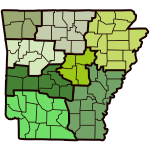 Tagged: Arkansas Medical Marijuana Commission 