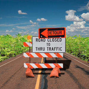 Arkansas Banks Navigate Marijuana Road