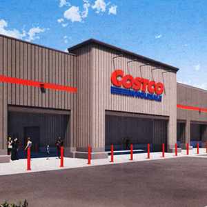 Price Checked on Costco Parcel