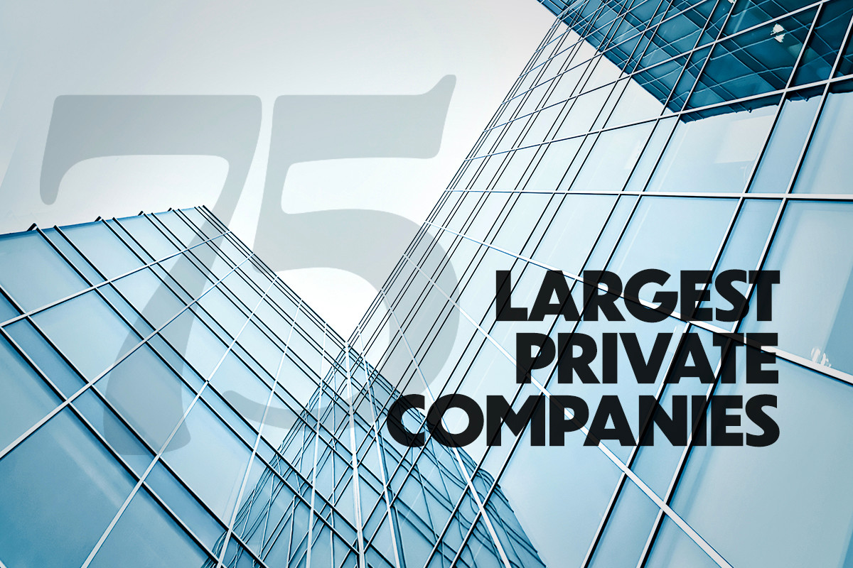 public-company-vs-private-company-private-company-private-limited