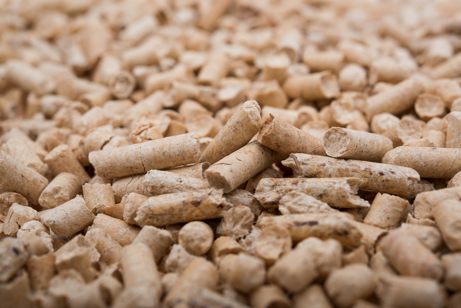 wood-pellets-from-clear-cut-old-growth-forests-may-not-be-carbon