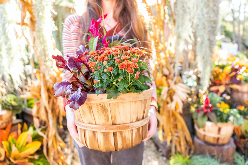 Container gardening: steps and ideas for making a container garden