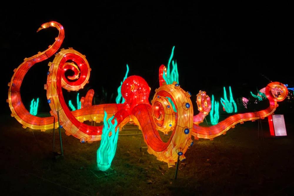 http://assets.inarkansas.com/147060/glowild-lantern-festival-little-rock-zoo.jpeg