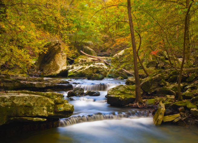 Smith Creek