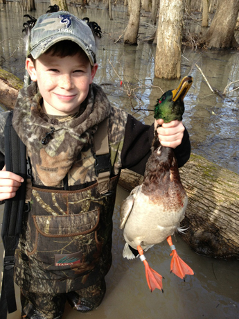 Double Banded Duck