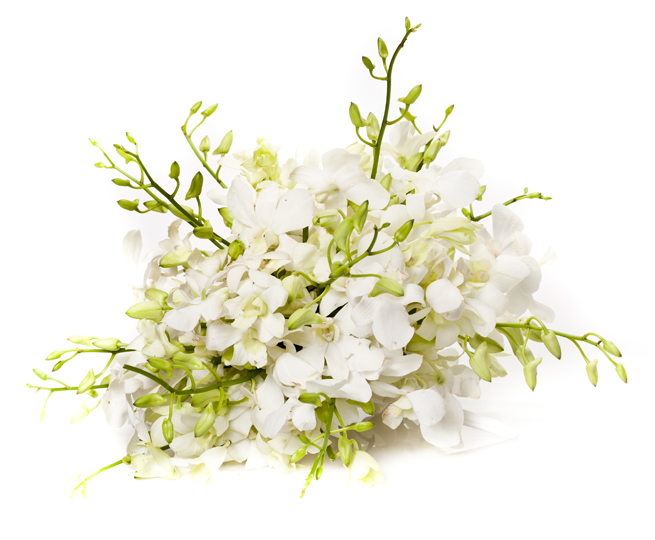About Vase