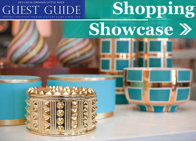 2013 shopping showcase title card