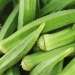 In Season at the Farmers Market: Okra