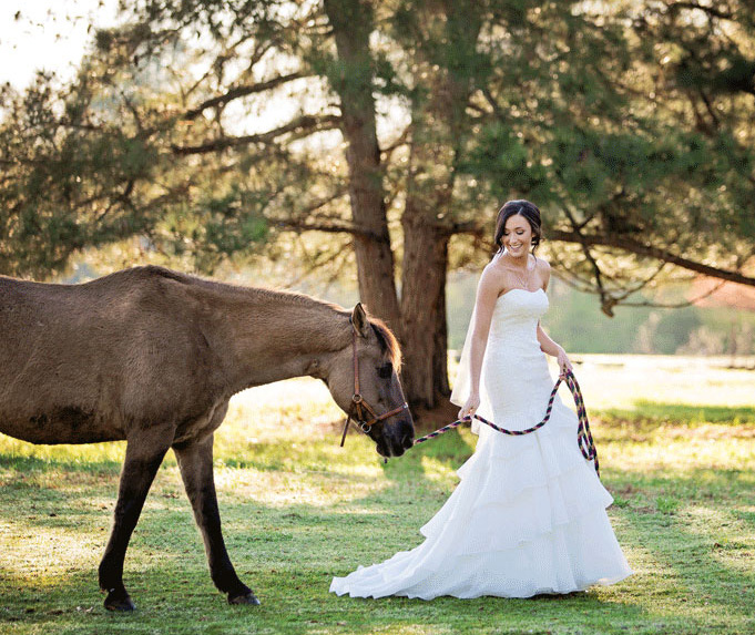 Arkansas Bride: Jessica Jackson of Alexander