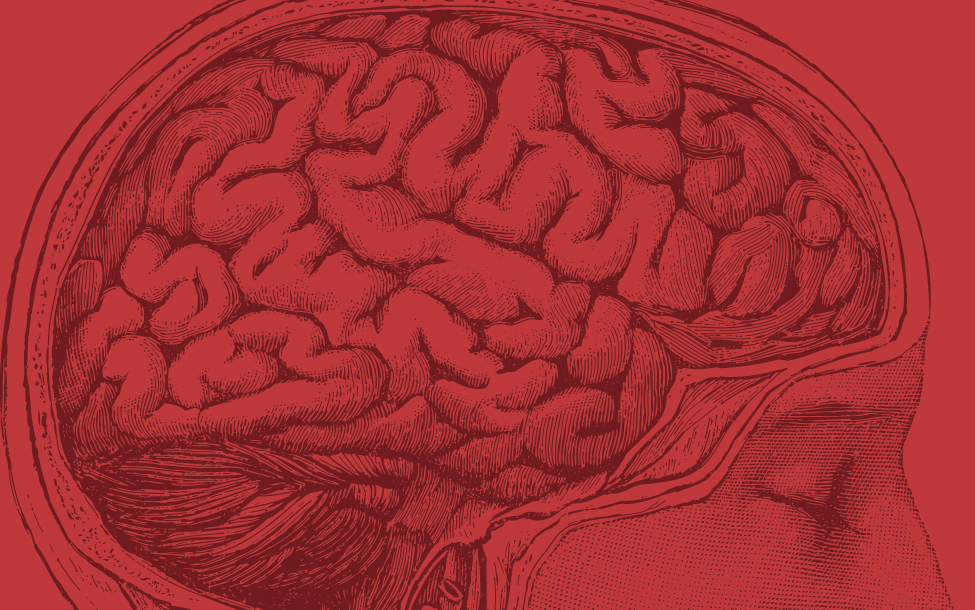red brain illustration medical