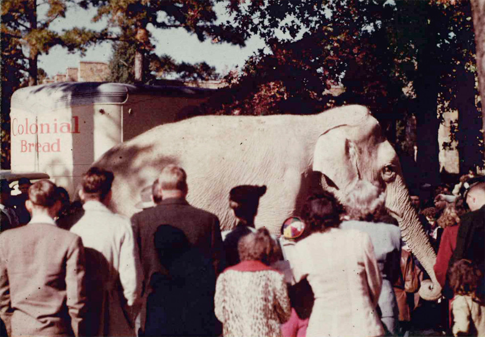 Timeline A History of the Little Rock Zoo Little Rock Soiree Magazine