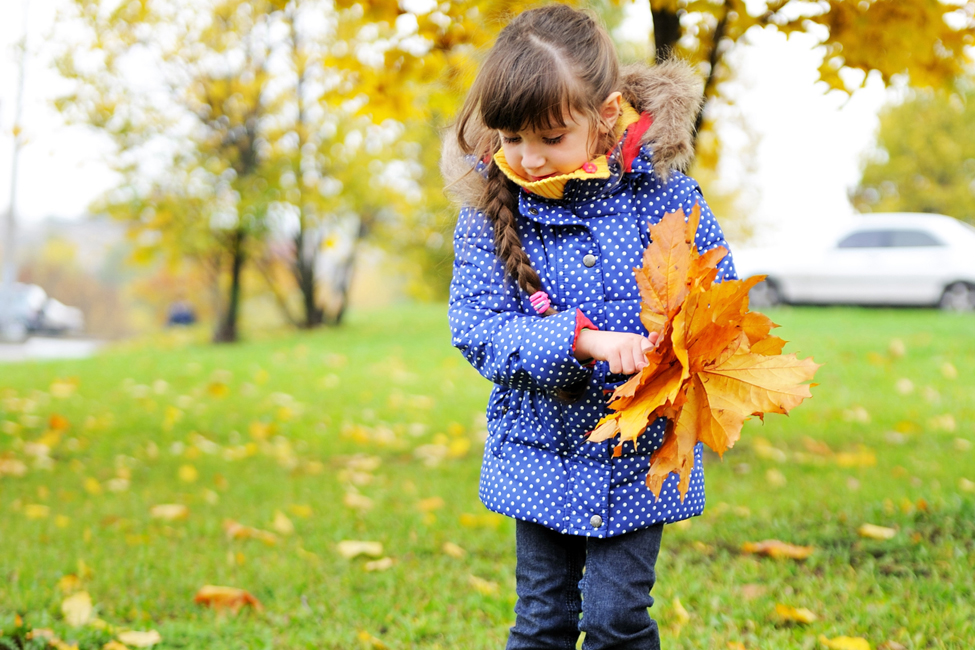 5 Ways To Learn & Explore the Arkansas Outdoors Little Rock Family