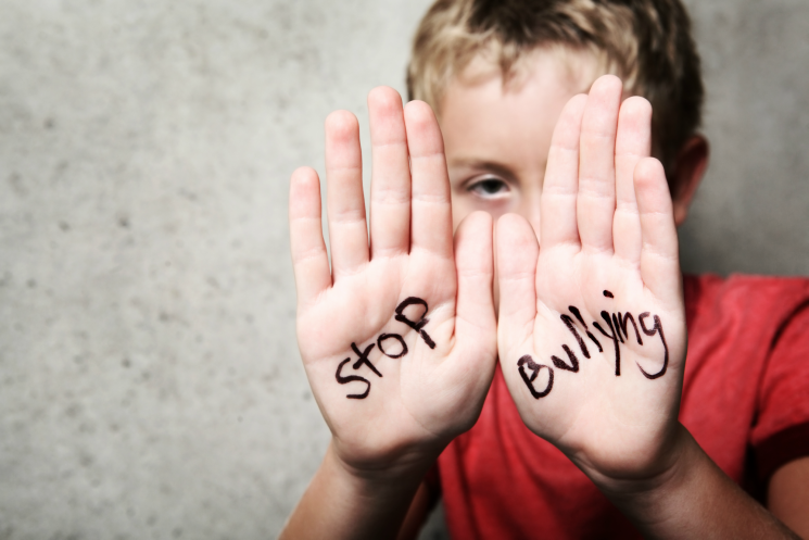 Addressing Childhood Bullying