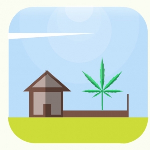 Arkansas Gets First Medical Pot Dispensary Application