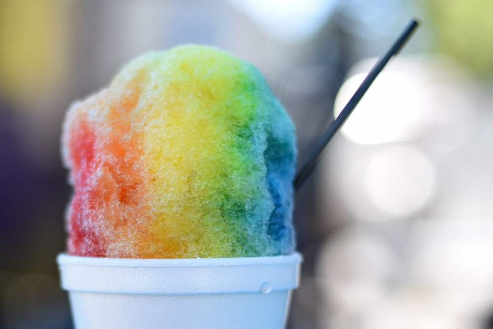 snow cone teddy