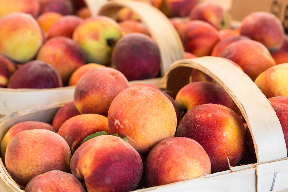 Summer Bucket List Picking Peaches At Faulkner Lake Orchard Little 