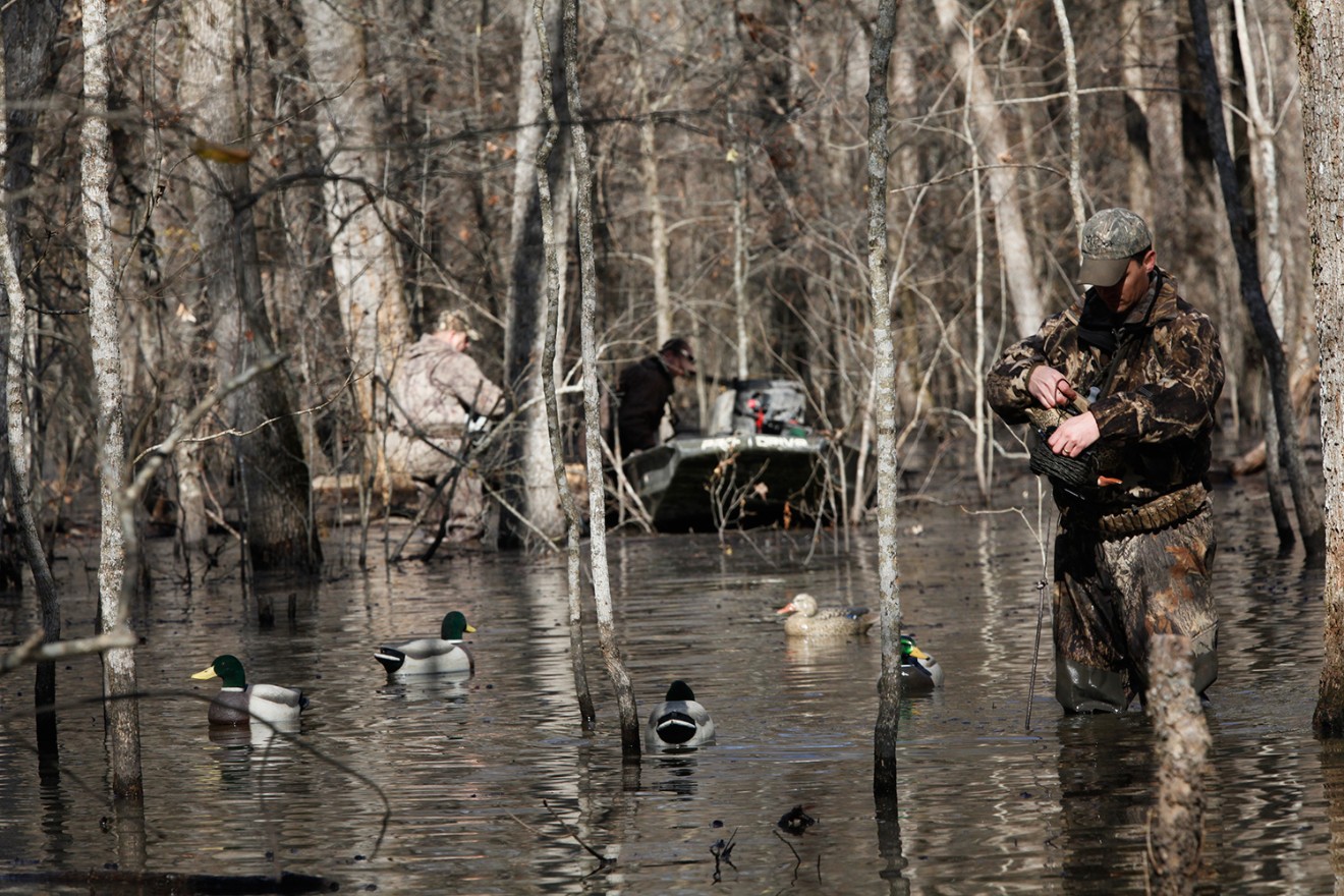 Public Land Duck Hunting